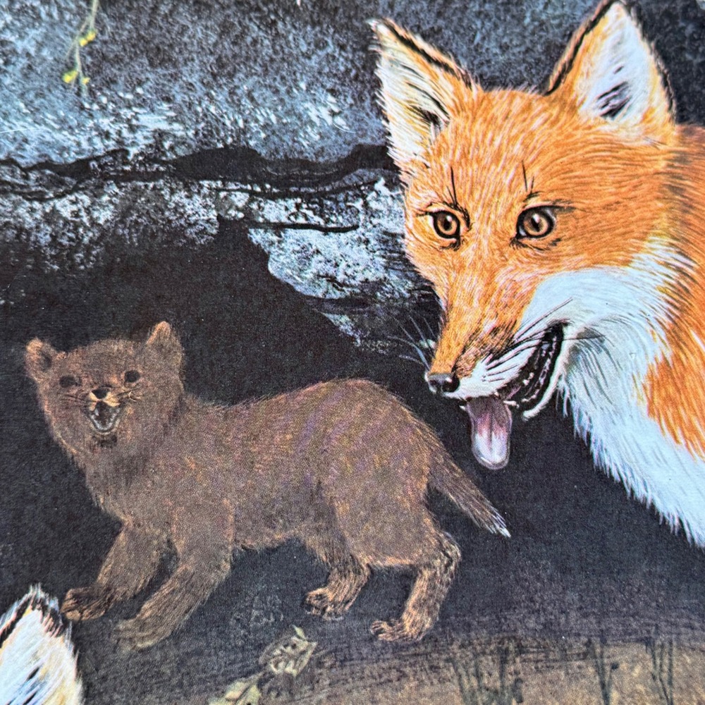 Vintage 1969 Gene Gray The American Red Fox Signed Lithograph Print 18x22 - Picture 6 of 9